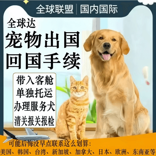 上海市宠物托运到柬埔寨宠物入境规定和要求