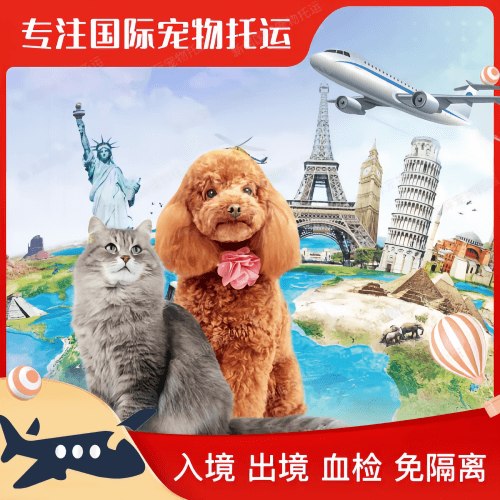 上海市宠物托运到美国宠物入境最新规定和要求