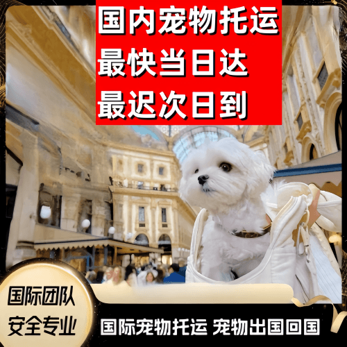 上海市到澳大利亚（澳洲）宠物入境规定和要求